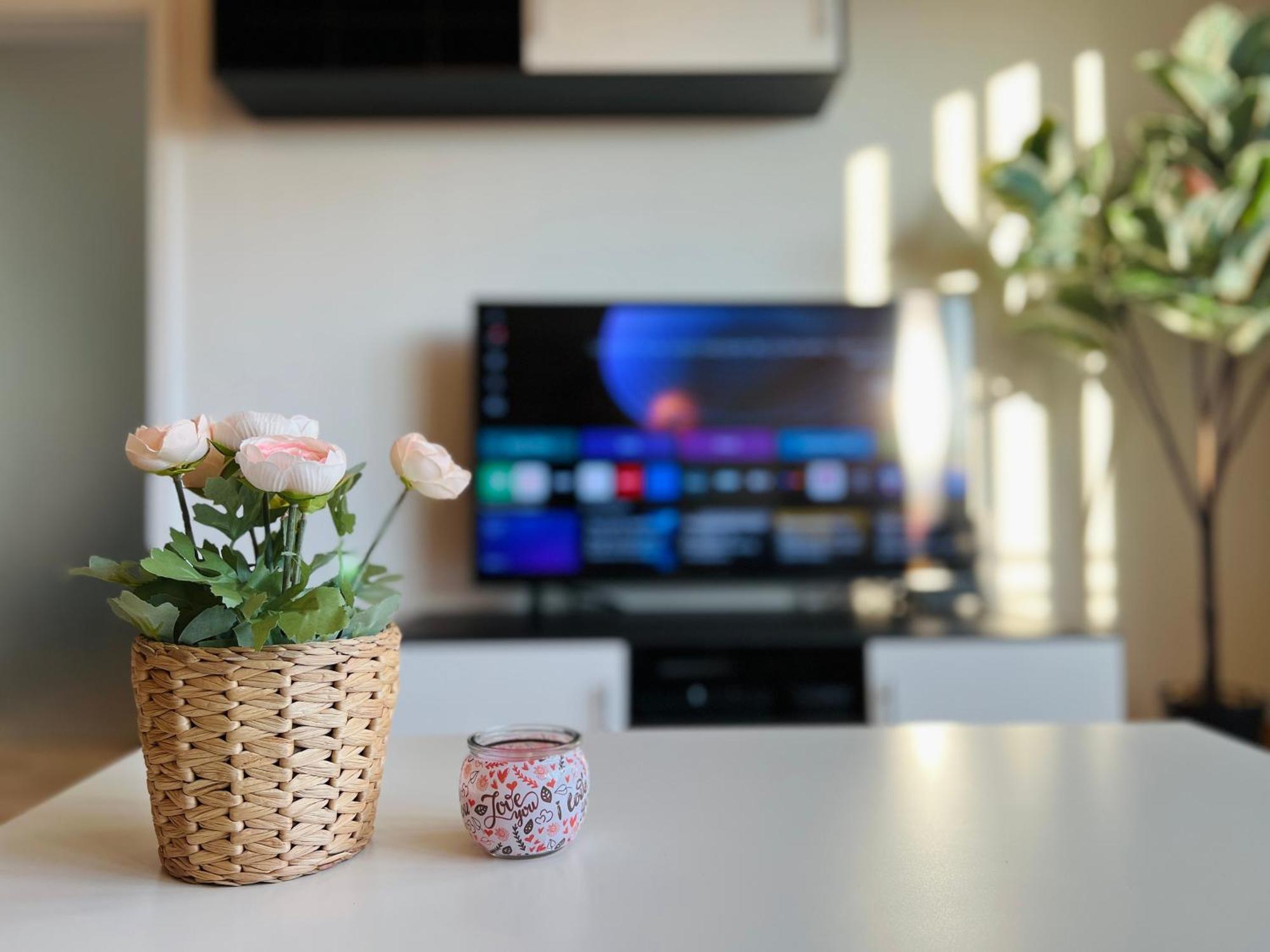 Apartmán Stariva - Terrasse Ueber Dresden - Kaffeemachine - Netflix - Playstation - Brettspiele Exteriér fotografie